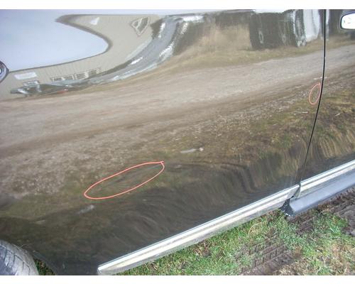 NISSAN PATHFINDER Door Assembly, Rear or Back